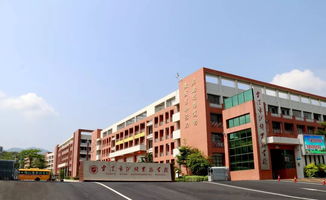 激情运动,放飞理想 云浮市伊顿实验学校第四届校运会顺利举行