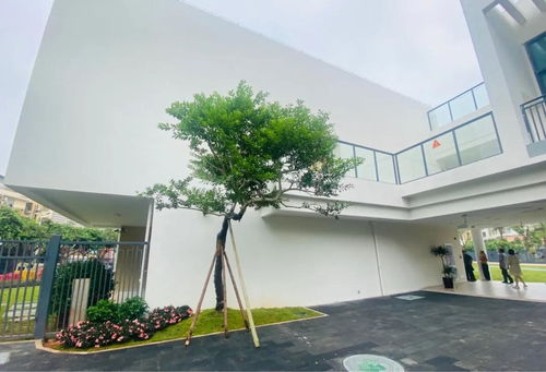 教育 上新 打造全国一流学校 住在厦门这区有福了